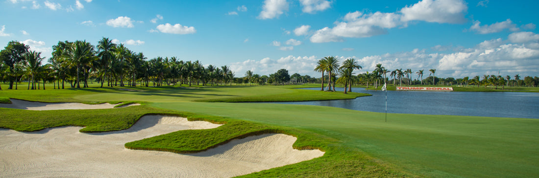 Introducing Ginno: Your Personal Golf AI via Whatsapp